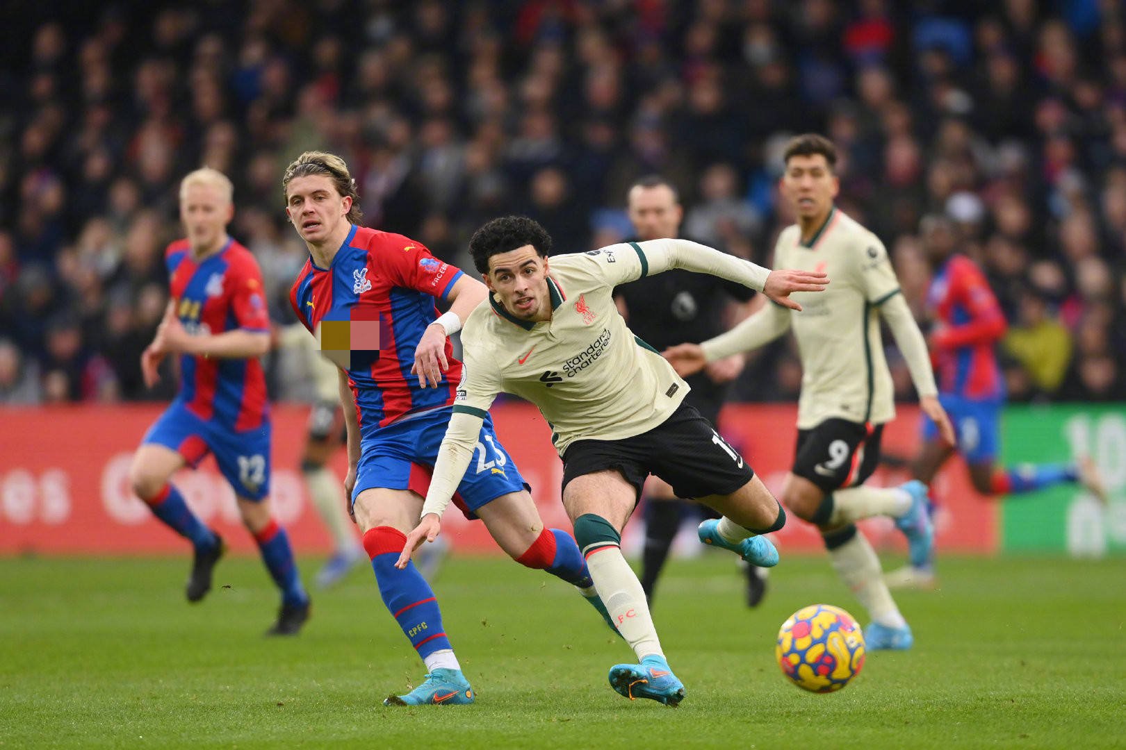 的篮球运动 的篮球运动